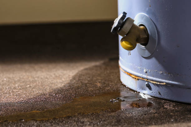 Best 24-hour water damage restoration  in South Deerfield, MA