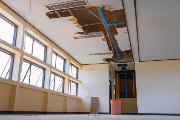 Best Local water damage restoration  in South Deerfield, MA