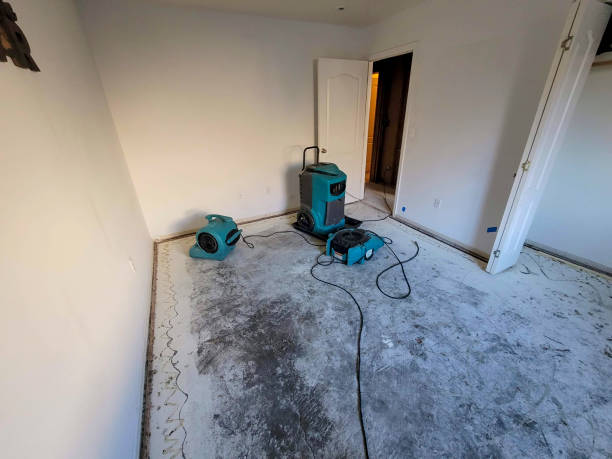 Water damage restoration experts in South Deerfield, MA