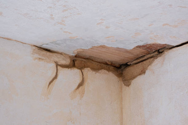 Best Water damage restoration specialists  in South Deerfield, MA