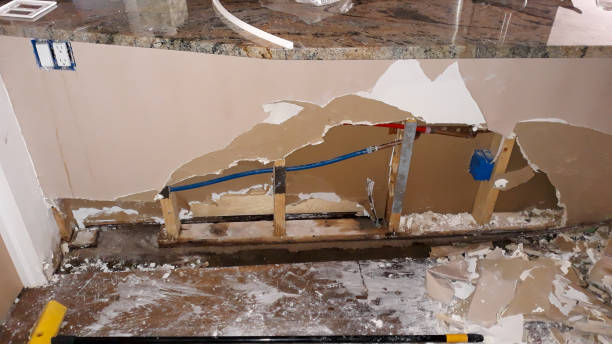 Best Flood restoration services  in South Deerfield, MA