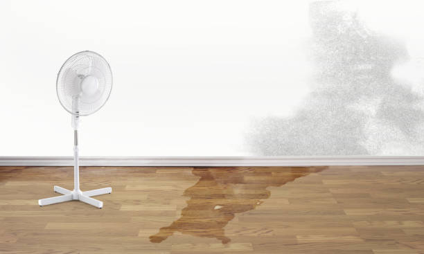 Professional Water damage restoration in South Deerfield, MA