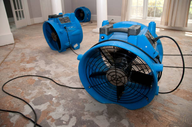 Best Residential water damage restoration  in South Deerfield, MA