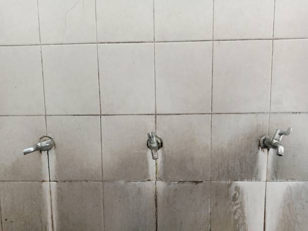 Best Commercial water damage restoration  in South Deerfield, MA