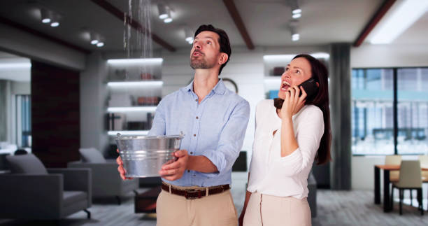 Best Water damage restoration near me  in South Deerfield, MA